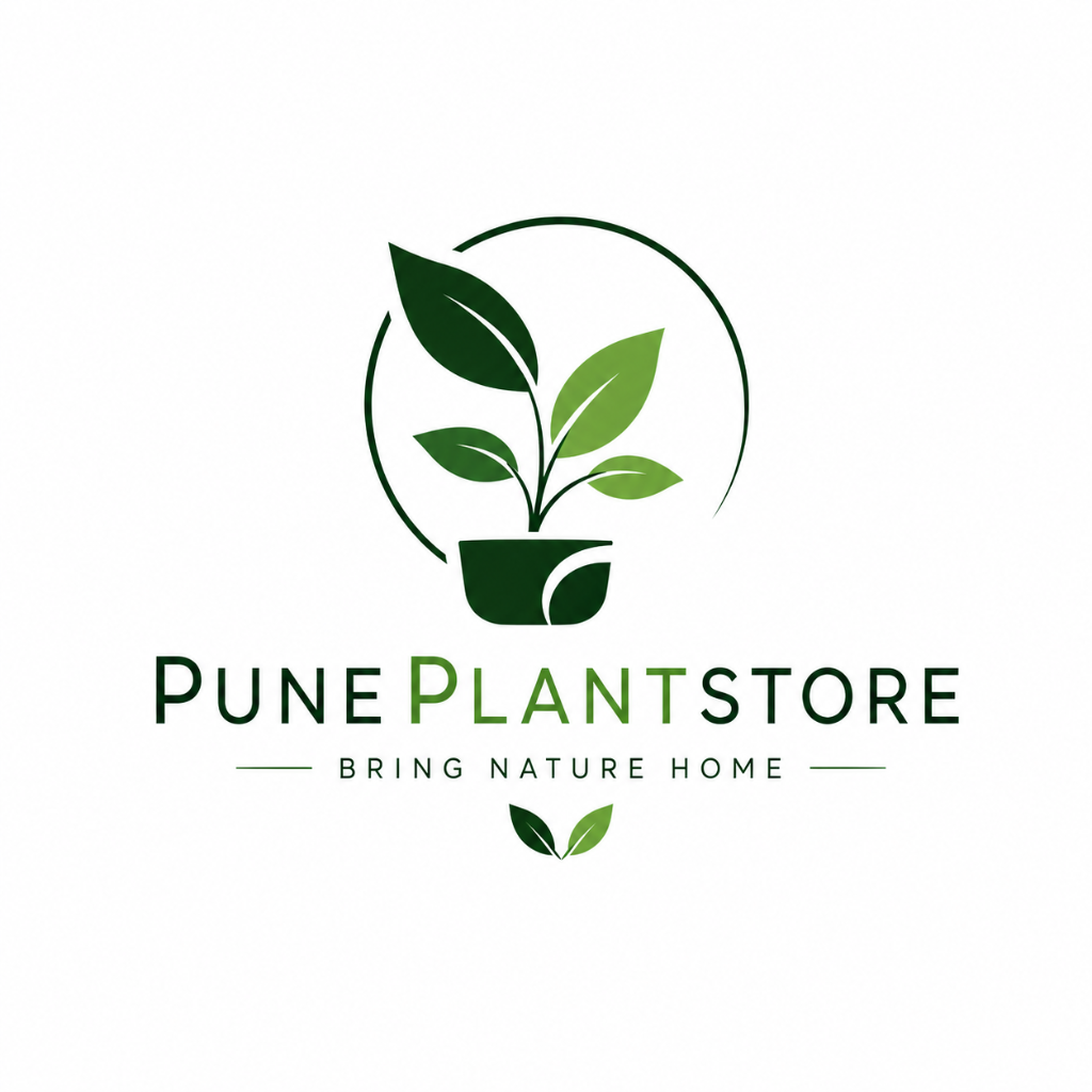 Pune Plant Store